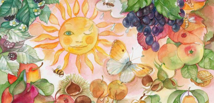 La découverte de la nature et des saisons